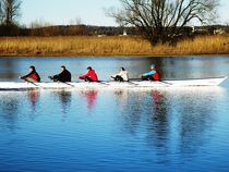 Rowing Training Kit